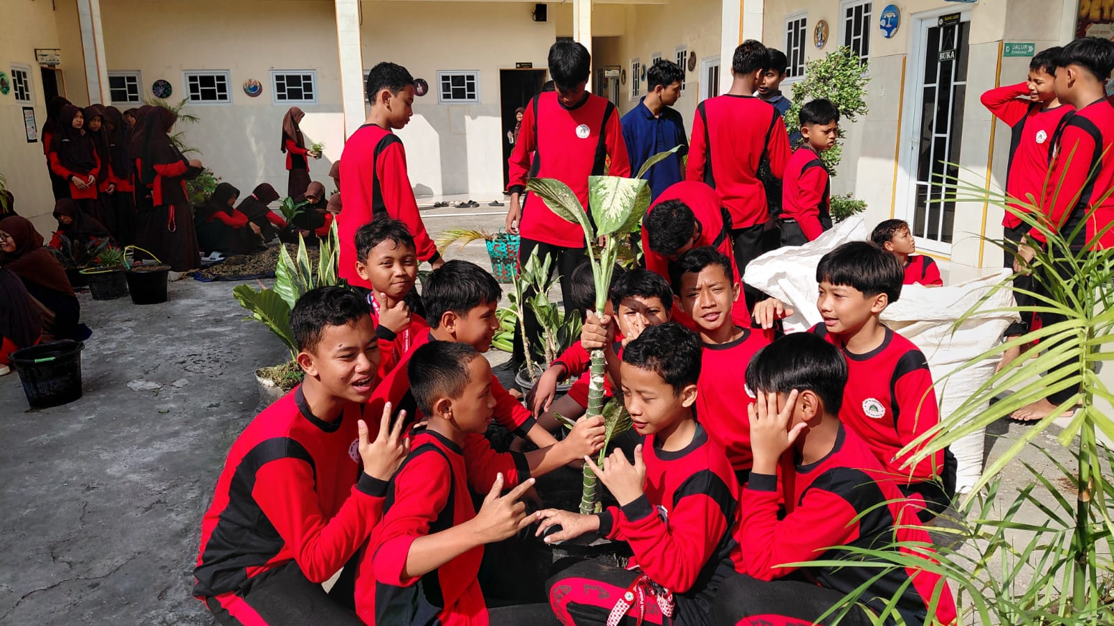 Gerakan Sekolah Hijau SMP Al-Amaanah Polokarto